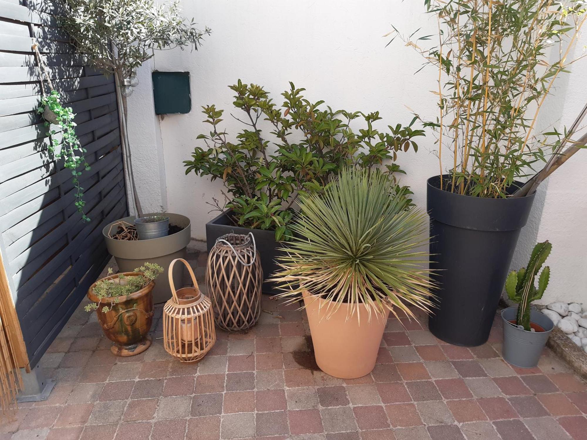 Grand Studio Avec Patio 马赛 外观 照片